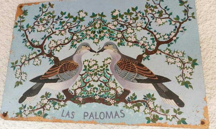 Вилла PALOMAS с бассейном, расположенная в урбанизации La Creu de Lloret в 5 км от Льорет де Мар